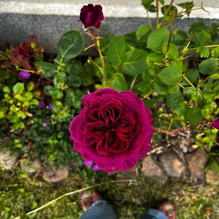 An Der Ostsee Apartament *