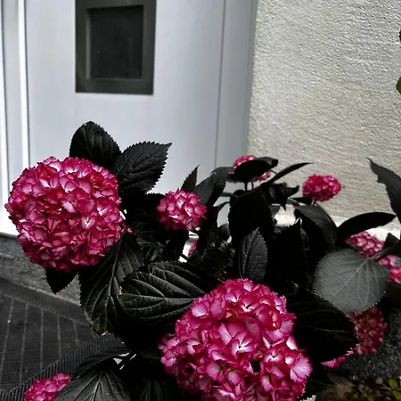 An Der Ostsee * Hasselberg (Schleswig-Holstein)