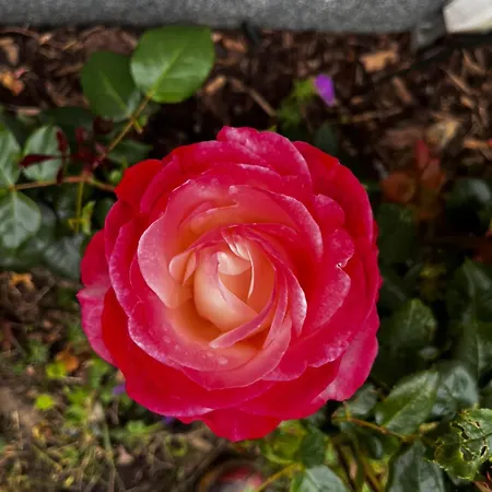 Apartament An Der Ostsee Hasselberg (Schleswig-Holstein)